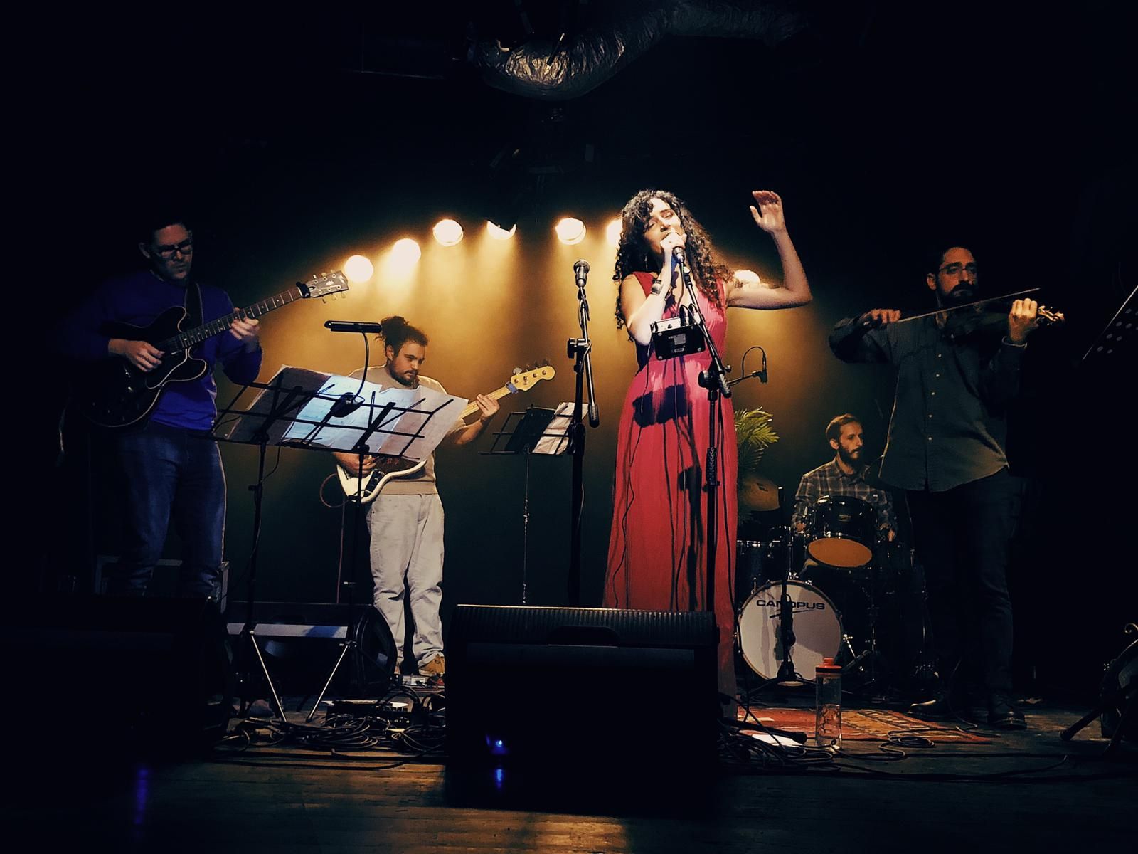 Ruba Shamshoum during a performance with her band